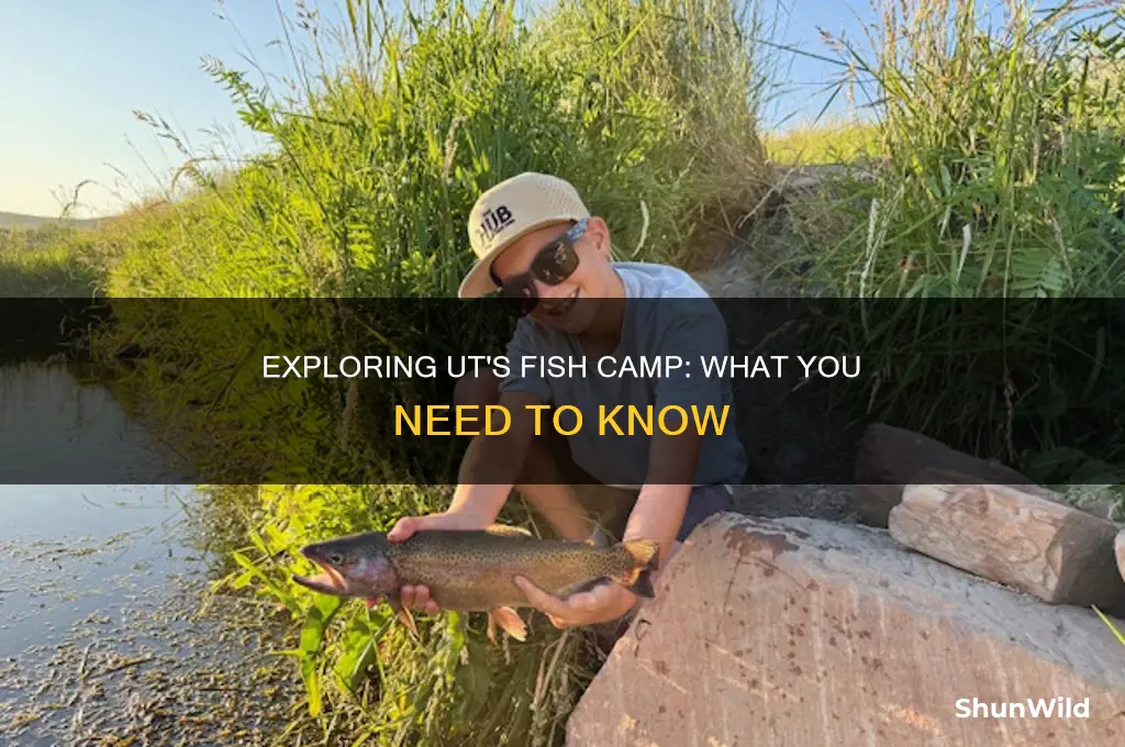 does ut have fish camp