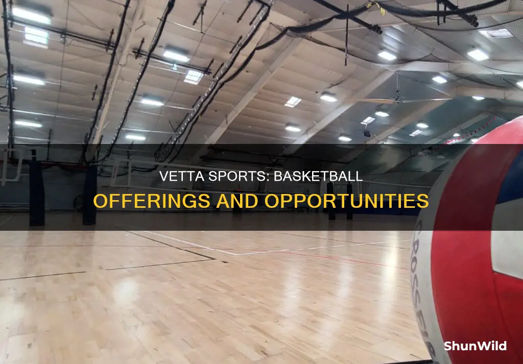 does vetta sports have basketball