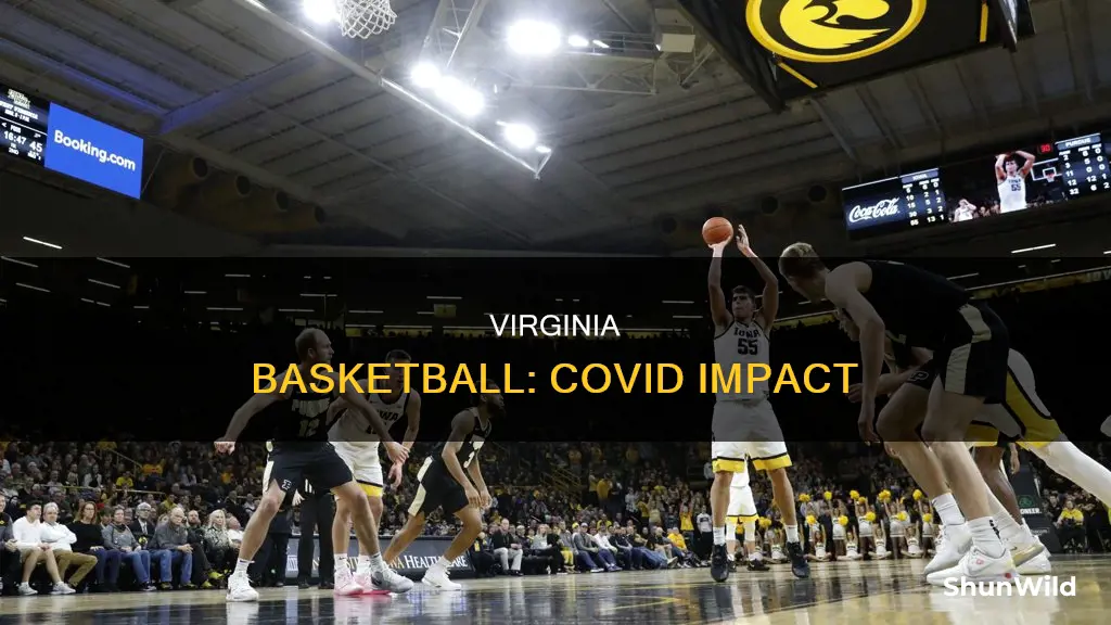does virginia basketball have covid