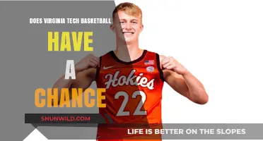 Hokies Basketball: Can They Make It?