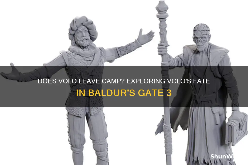 does volo leave camp
