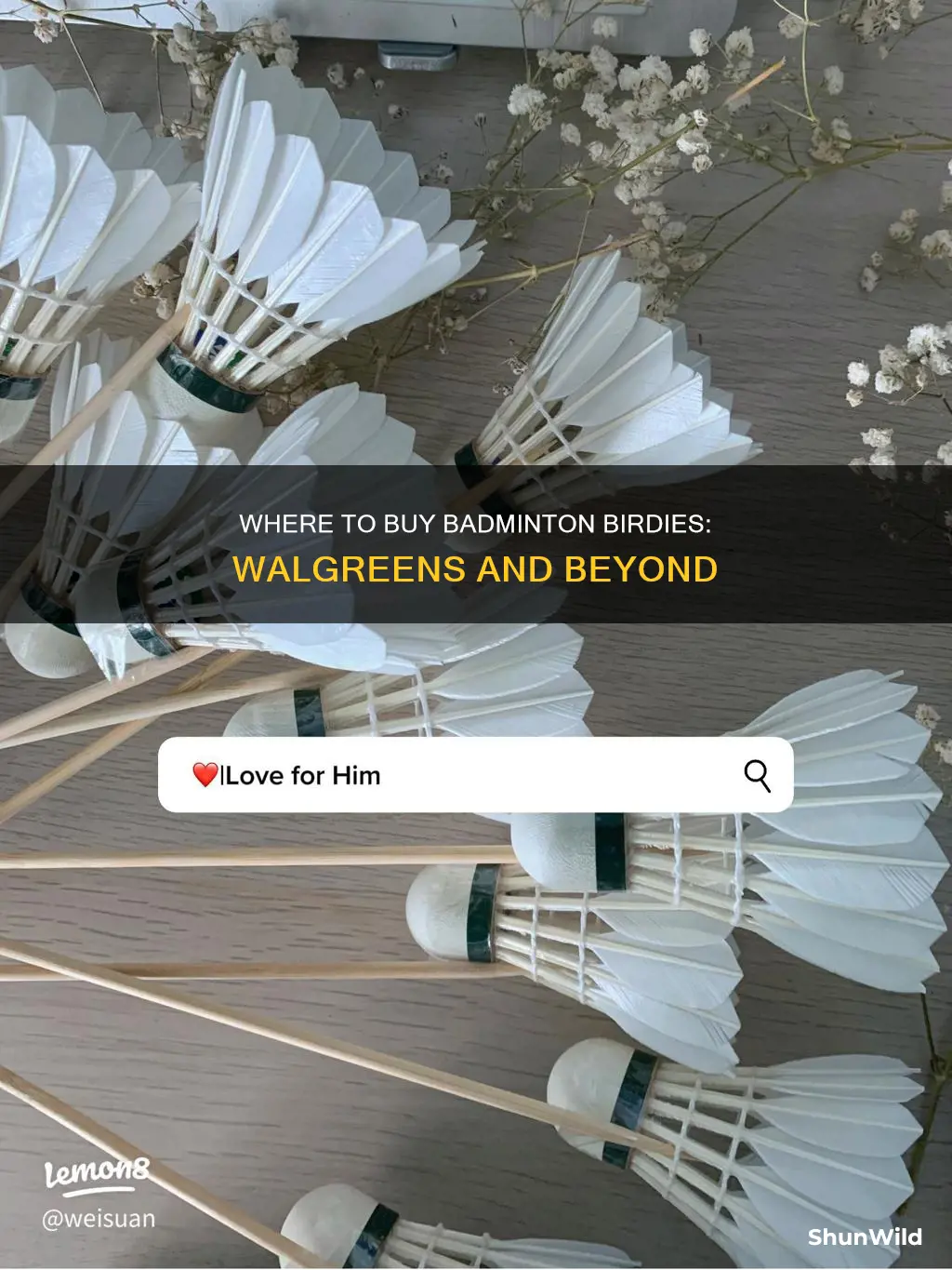does walgreens sell badminton birdies