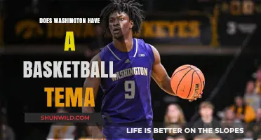 Washington's Basketball Pride: Team Overview