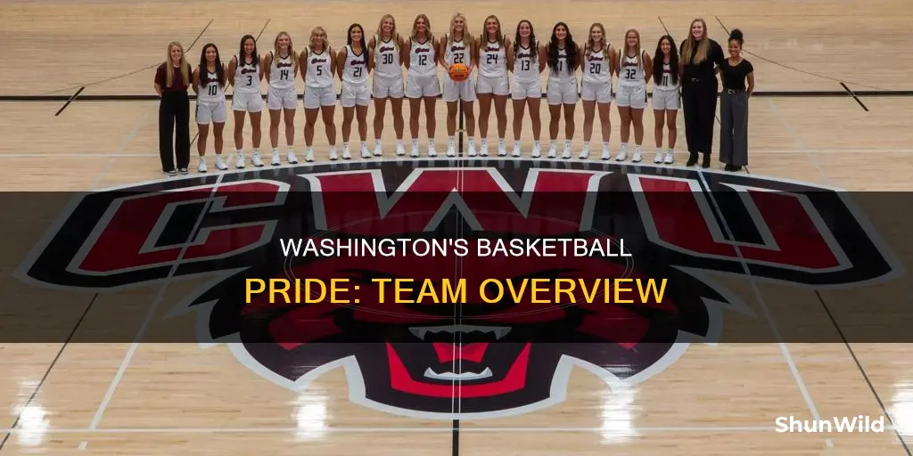 does washington have a basketball tema