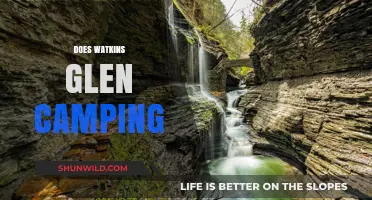 Watkins Glen Camping: A Nature Lover's Ultimate Outdoor Adventure Guide