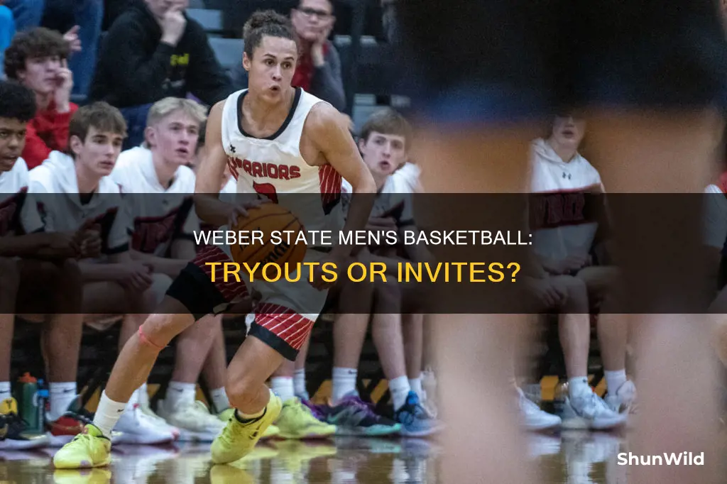 does weber state always hold men