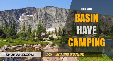 Wild Basin Camping Guide: Availability, Tips, and What to Expect