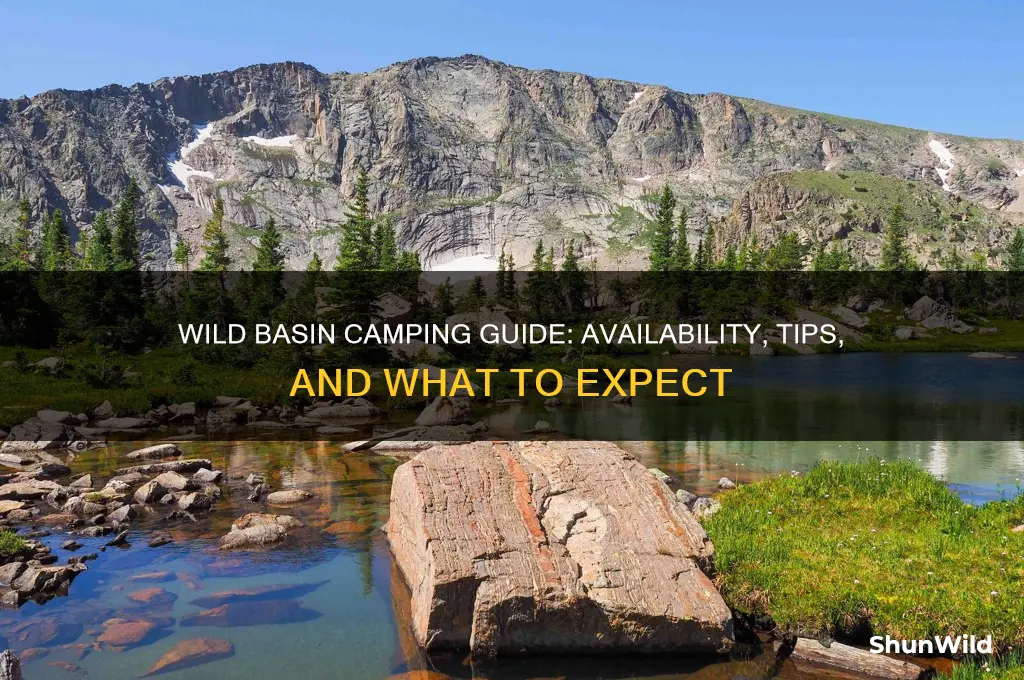 does wild basin have camping