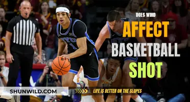 Wind Impact on Basketball Shots: Does it Affect Performance?