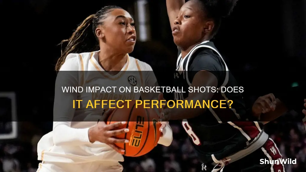 does wind affect basketball shot