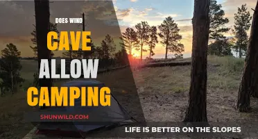 Can You Camp in Wind Cave? Exploring Overnight Options in the Park