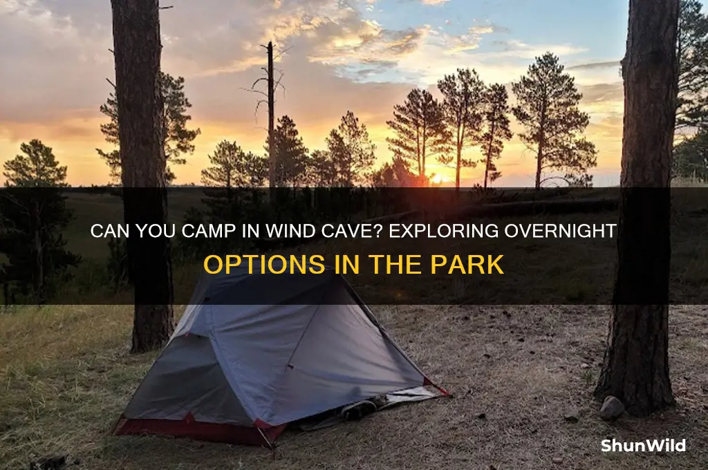 does wind cave allow camping