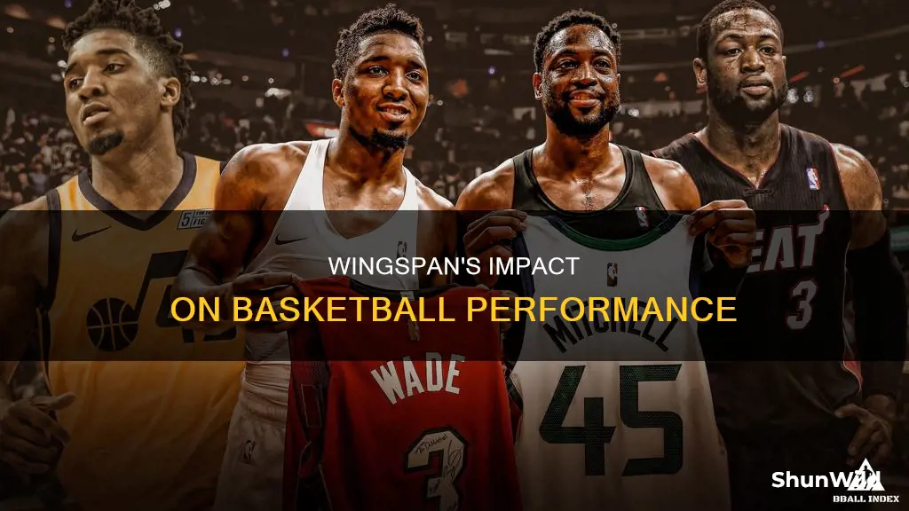 does wingspan matter in basketball