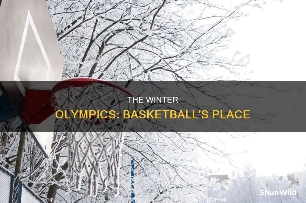 does winter olympics have basketball