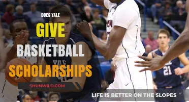 Yale Basketball Scholarships: What You Need to Know