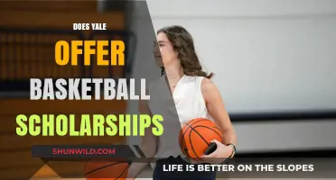 Yale Basketball Scholarships: What You Need to Know