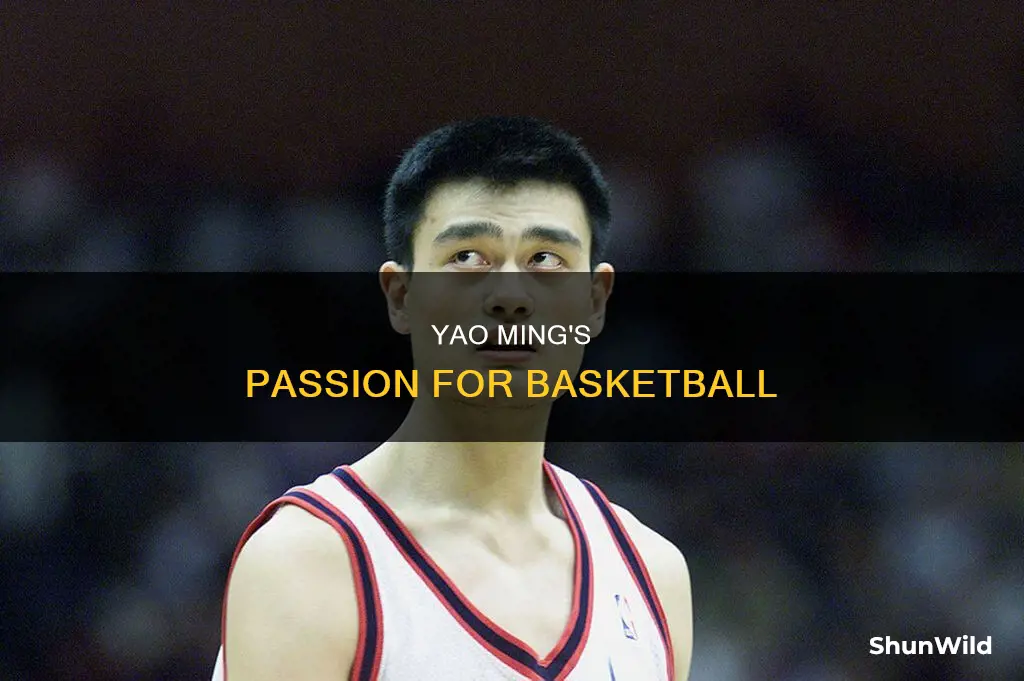 does yao ming like basketball