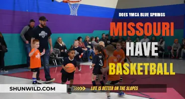YMCA Blue Springs: Basketball Available?
