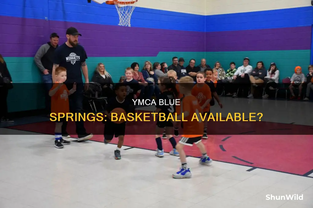does ymca blue springs missouri have basketball