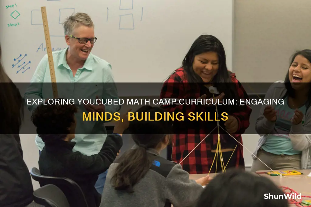 does youcubed math camp curriculum