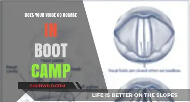 Boot Camp's Impact: Why Your Voice Goes Hoarse During Training