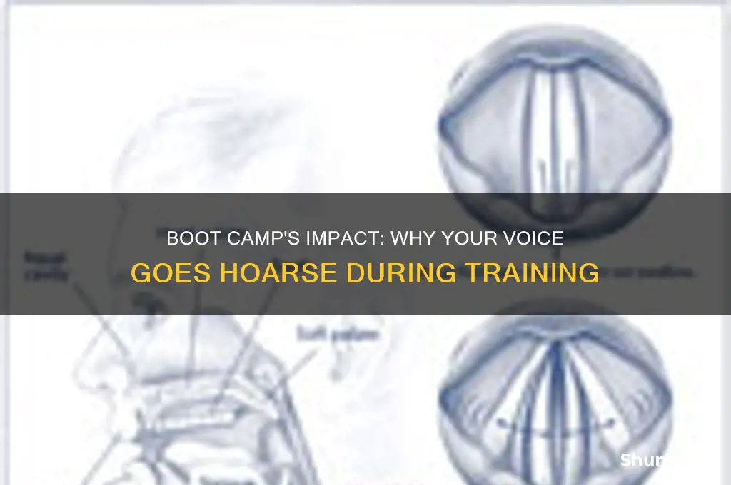 does your voice go hoarse in boot camp