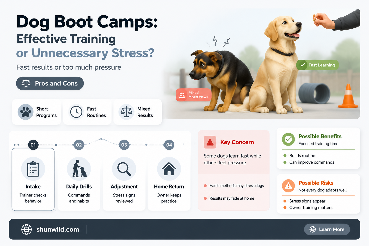 are dog boot camps good