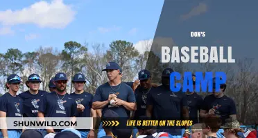 Don's Baseball Camp: Elevate Your Game with Expert Coaching & Fun!