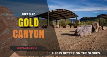 Discover Don's Camp Gold Canyon: A Hidden Gem in Arizona