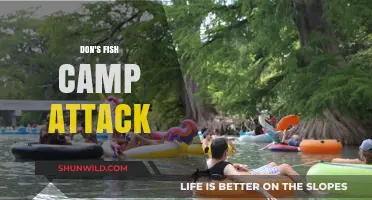 Don's Fish Camp Attack: Unraveling the Shocking Incident and Aftermath