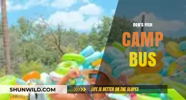 Don's Fish Camp Bus: A Unique Adventure on Wheels