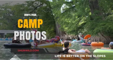 Don's Fish Camp: Capturing Memorable Moments in Stunning Photos