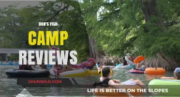 Don's Fish Camp Reviews: Honest Insights and Guest Experiences