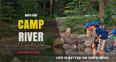 Don's Fish Camp: A Serene River Escape for Anglers and Nature Lovers