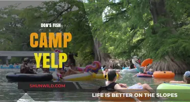 Don's Fish Camp Yelp Reviews: A Hidden Gem for Seafood Lovers