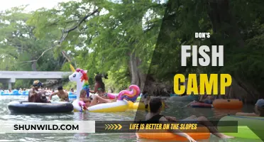 Don's Fish Camp: A Hidden Gem for Anglers and Nature Lovers