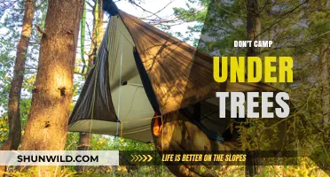 Avoid Camping Under Trees: Stay Safe from Falling Branches and Wildlife