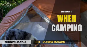 Essential Camping Reminders: Don't Forget These Crucial Items and Tips