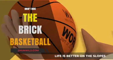 The Brick: Basketball's Unsung Hero