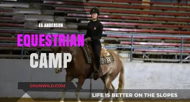 Experience ES Anderson Equestrian Camp: Ride, Learn, and Grow