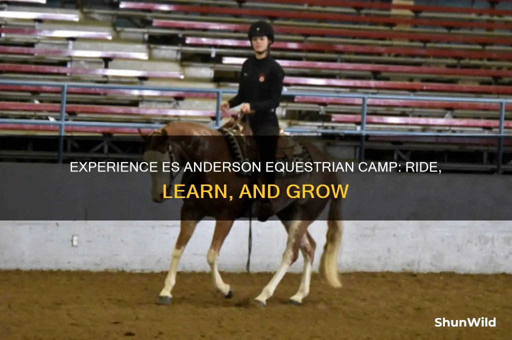 es anderson equestrian camp