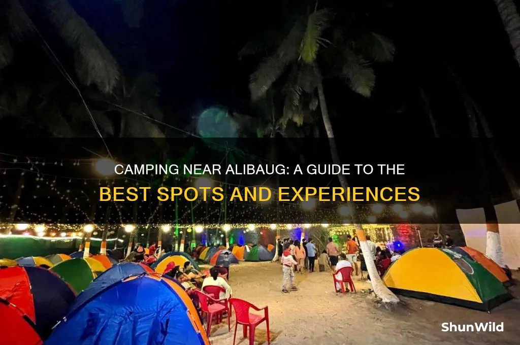 has anyone camp near alibaug