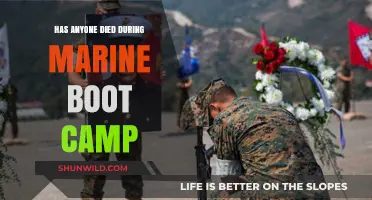 Marine Boot Camp Fatalities: Uncovering the Truth Behind the Rumors