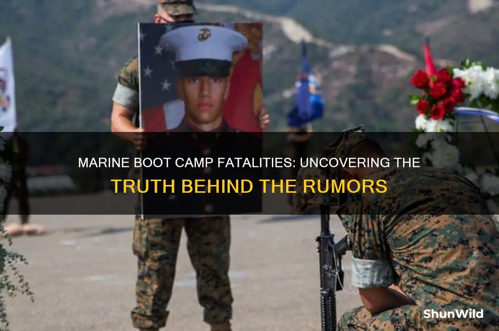 has anyone died during marine boot camp