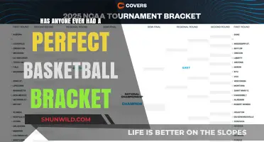 The Elusive Perfect Bracket: Can It Be Done?