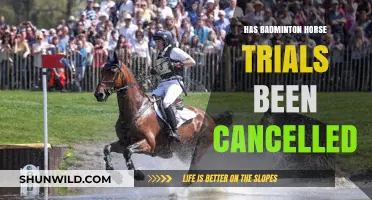 Horse Trials Cancelled: Badminton's Loss This Year