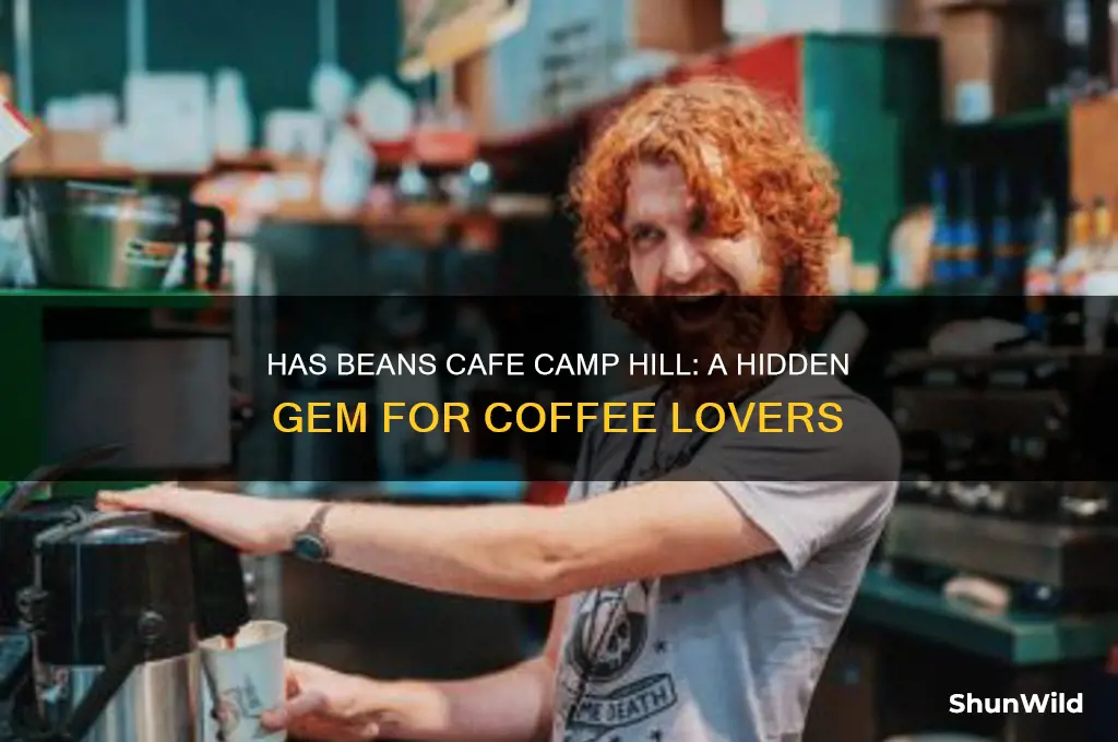 has beans cafe camp hill