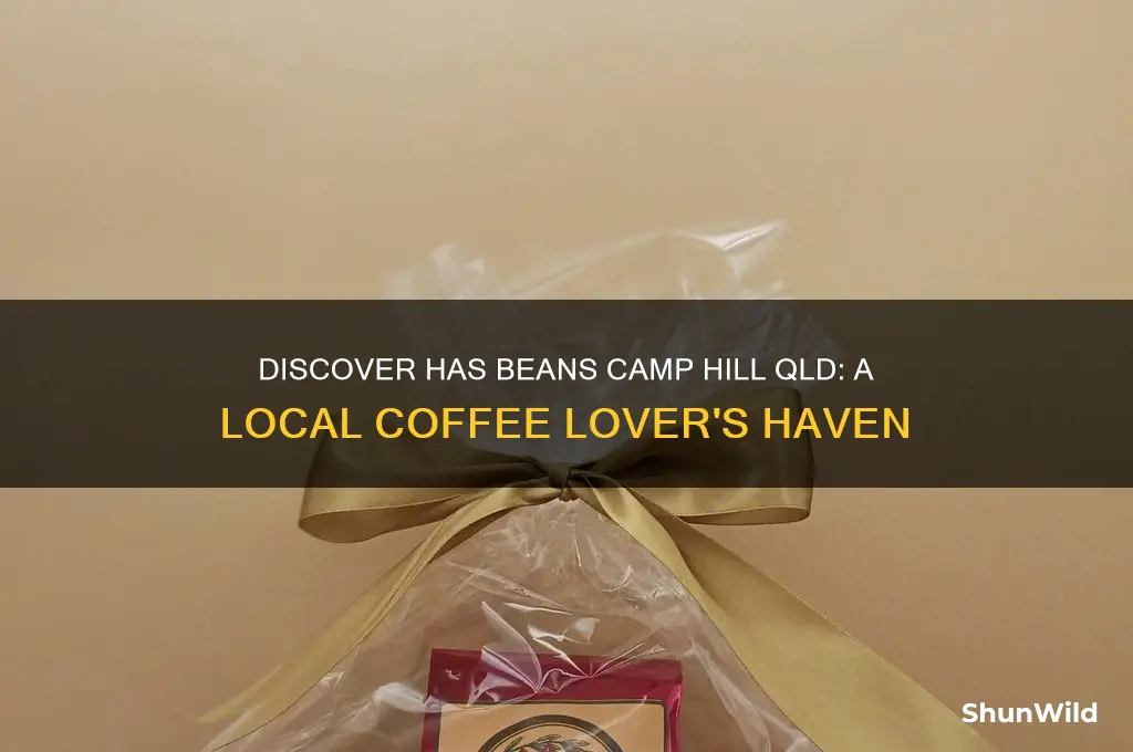 has beans camp hill qld