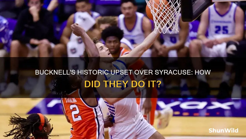 has buckbell beat syracuse in basketball