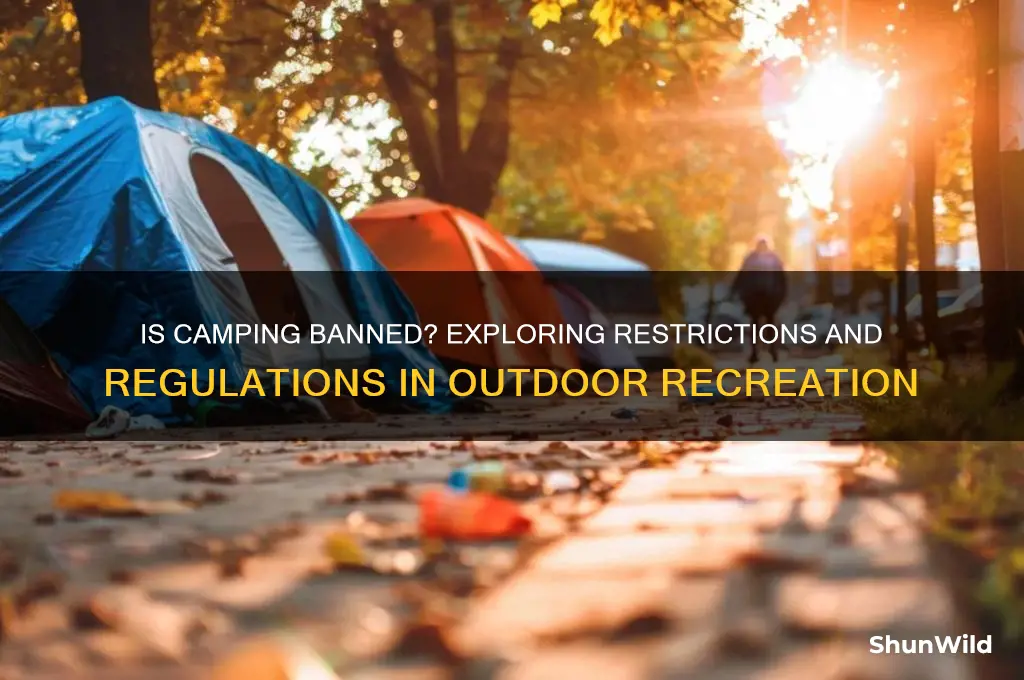 has camping been banned